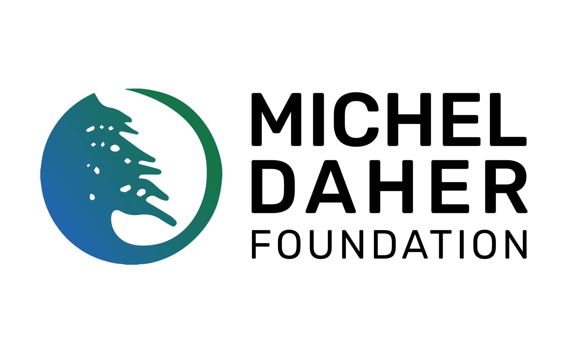 Michel Daher Foundation