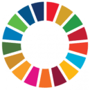 Sdg_icon_wheel_rgb-290x290